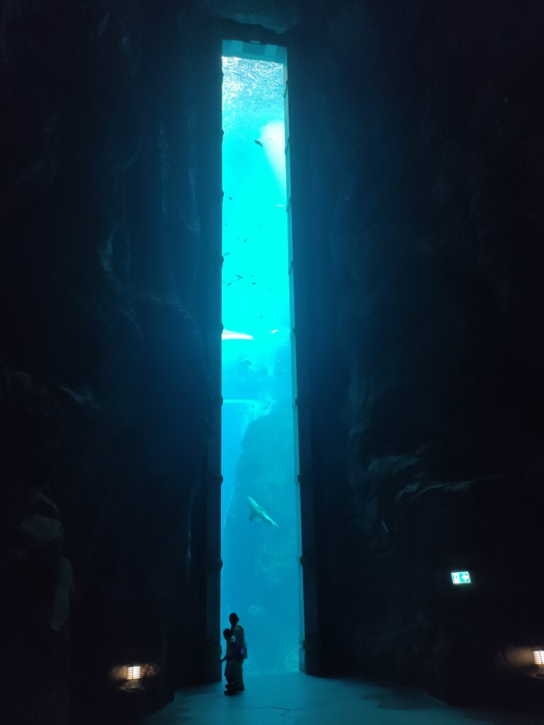 Seaworld, Abu Dhabi, UAE
