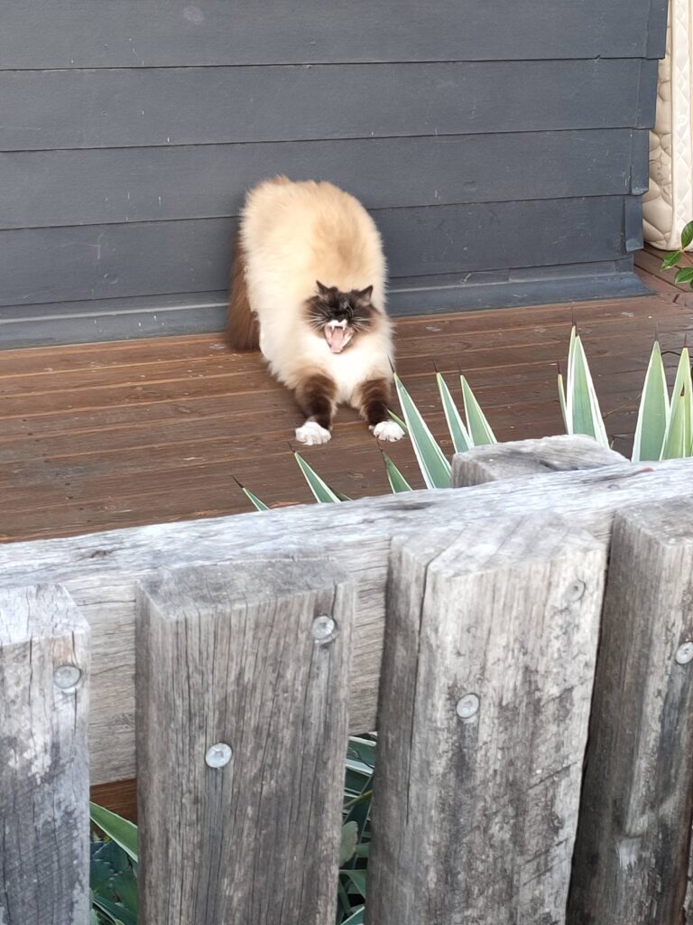 2024-Australia-NewSouthWales-COL Cost of living, New South Wales, Australia