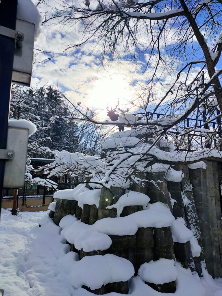 Cost of living, Sapporo, Japan
