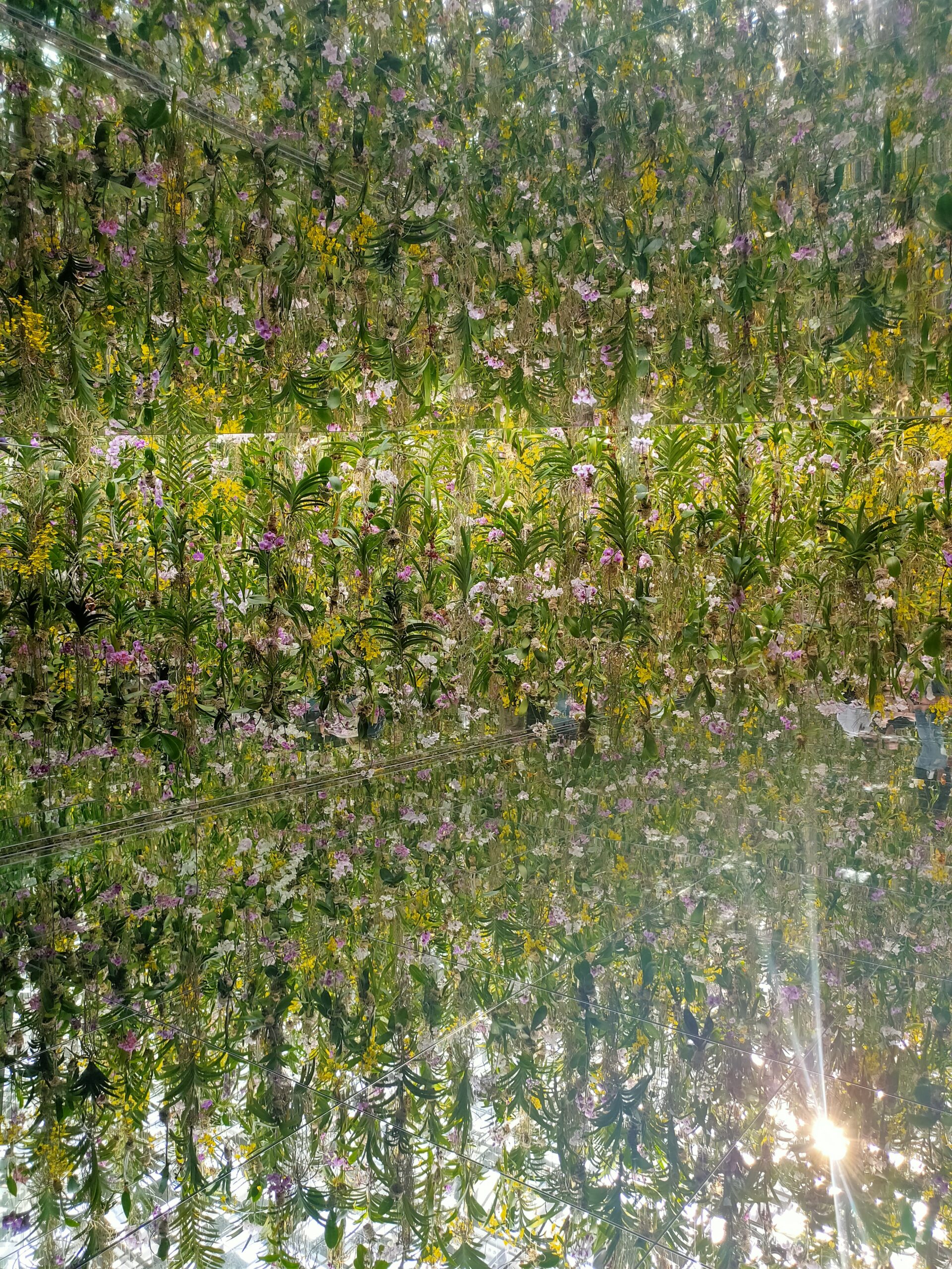 🌊 teamLab Planets TOKYO: Thought It’d Be Mid… But It Was Magic