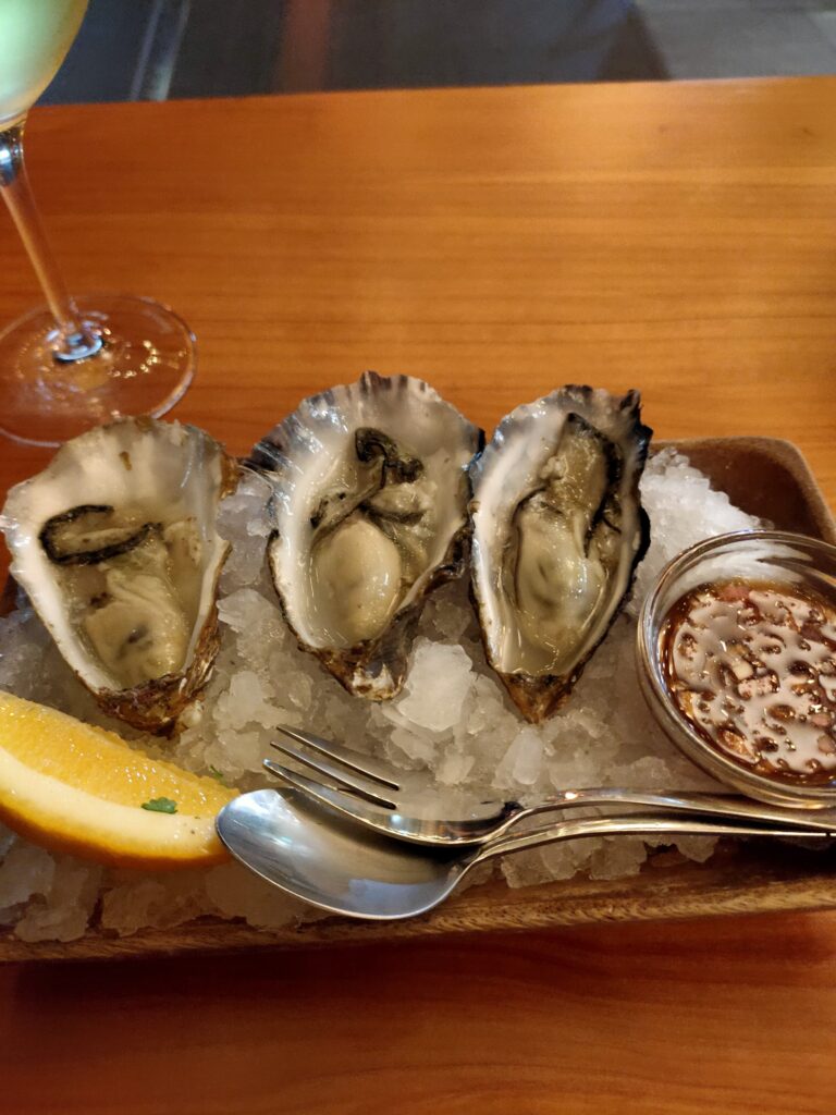 Oyster, Auckland, New Zealand