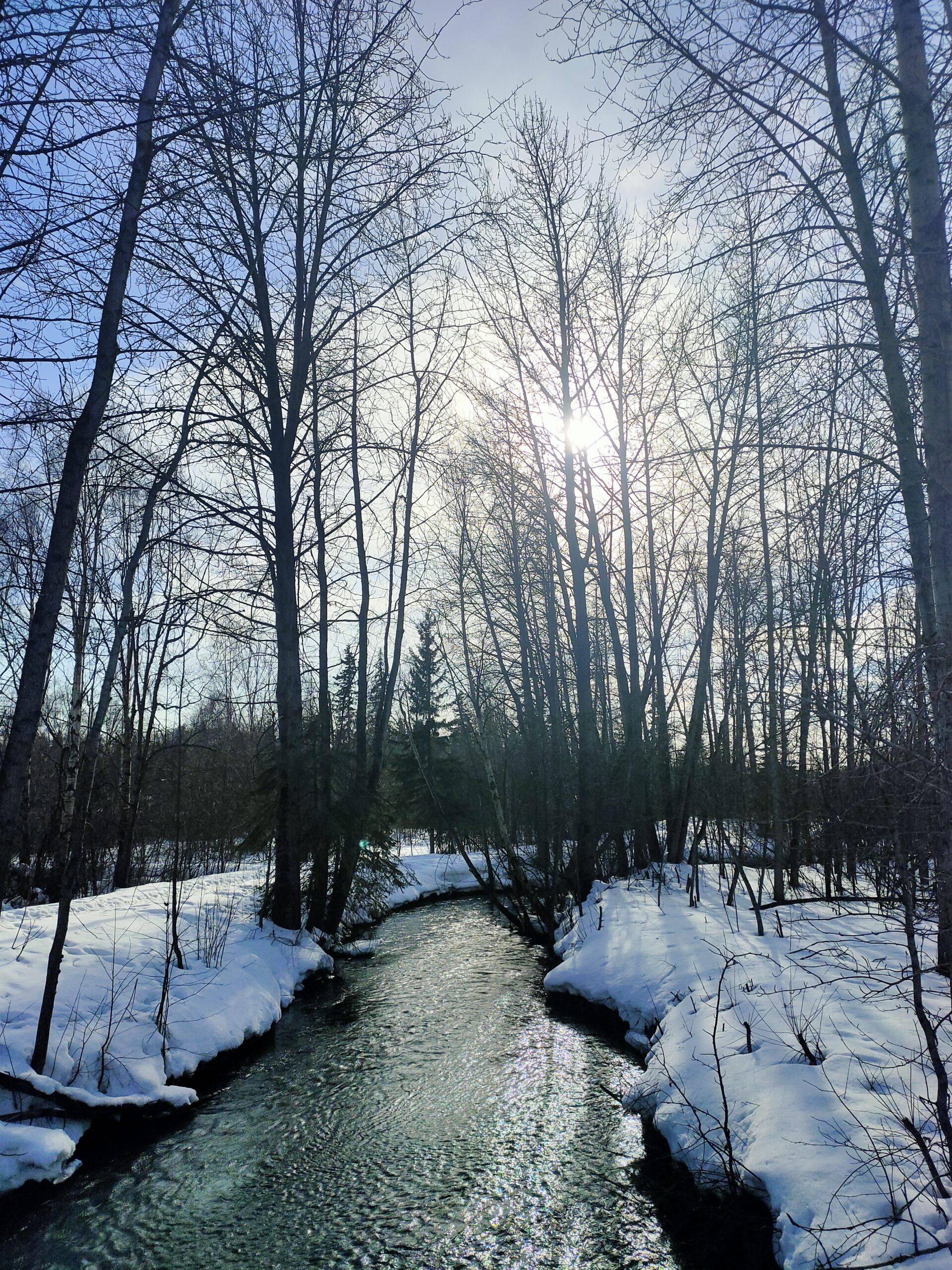 Alaska, USA Cost of Living: How I Spent SGD4,880 in One Month (And Was It Worth It?)