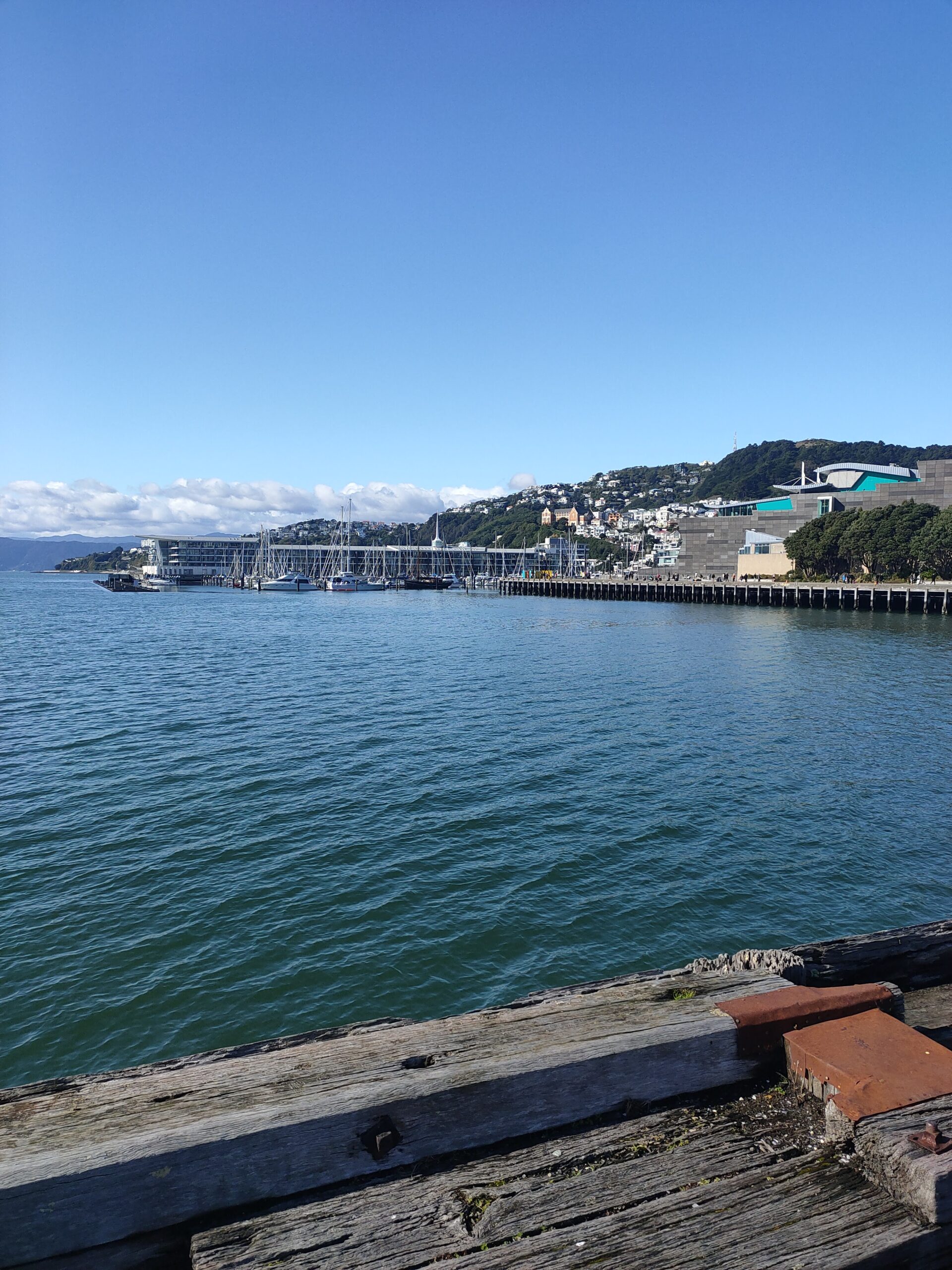 Wellington, New Zealand Cost of Living: How I Spent SGD4,370 in One Month (And Barely Remember It)